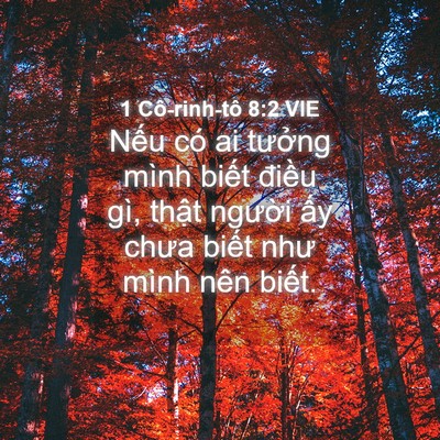 Picture 04 - 1 Cô-rinh-tô 8:2 VIE - Nếu có ai tưởng mình biết điều gì, - Bible Verse Picture
