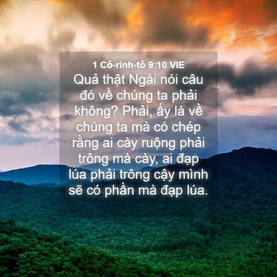 Picture 04 - 1 Cô-rinh-tô 9:10 VIE - Quả thật Ngài nói câu đó về chúng ta - Bible Verse Picture