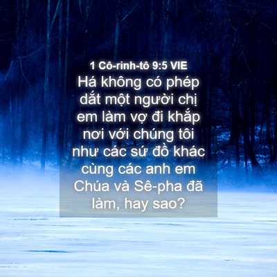 Picture 04 - 1 Cô-rinh-tô 9:5 VIE - Há không có phép dắt một người chị - Bible Verse Picture