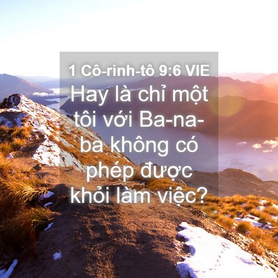 Picture 04 - 1 Cô-rinh-tô 9:6 VIE - Hay là chỉ một tôi với Ba-na-ba không - Bible Verse Picture