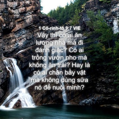 Picture 04 - 1 Cô-rinh-tô 9:7 VIE - Vậy thì có ai ăn lương nhà mà đi đánh - Bible Verse Picture