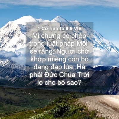 Picture 04 - 1 Cô-rinh-tô 9:9 VIE - Vì chưng có chép trong luật pháp Môi-se - Bible Verse Picture