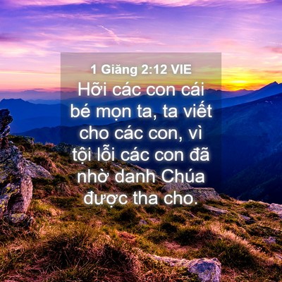 Picture 04 - 1 Giăng 2:12 VIE - Hỡi các con cái bé mọn ta, ta viết cho - Bible Verse Picture