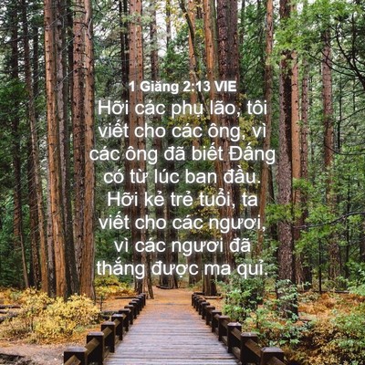 Picture 04 - 1 Giăng 2:13 VIE - Hỡi các phụ lão, tôi viết cho các ông, - Bible Verse Picture