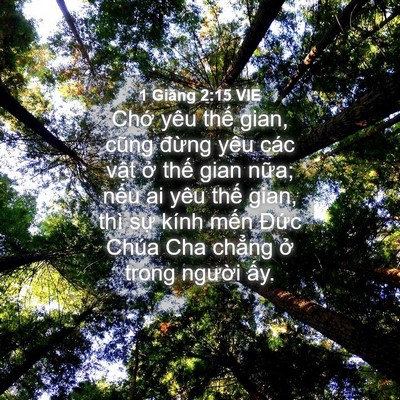 Picture 04 - 1 Giăng 2:15 VIE - Chớ yêu thế gian, cũng đừng yêu các - Bible Verse Picture