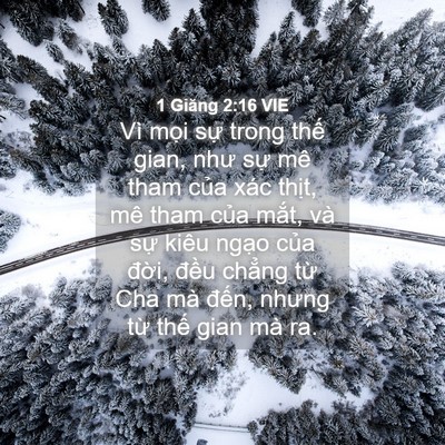 Picture 04 - 1 Giăng 2:16 VIE - Vì mọi sự trong thế gian, như sự mê - Bible Verse Picture