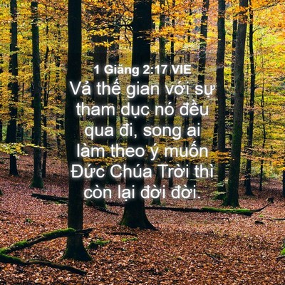 Picture 04 - 1 Giăng 2:17 VIE - Vả thế gian với sự tham dục nó đều - Bible Verse Picture