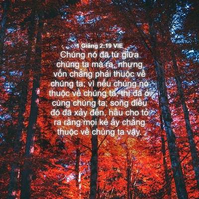 Picture 04 - 1 Giăng 2:19 VIE - Chúng nó đã từ giữa chúng ta mà ra, - Bible Verse Picture