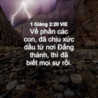 Picture 04 - 1 Giăng 2:20 VIE - Về phần các con, đã chịu xức dầu - Bible Verse Picture