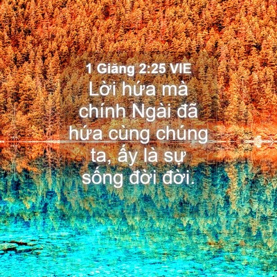 Picture 04 - 1 Giăng 2:25 VIE - Lời hứa mà chính Ngài đã hứa cùng - Bible Verse Picture