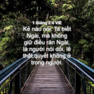 Picture 04 - 1 Giăng 2:4 VIE - Kẻ nào nói: Ta biết Ngài, mà không giữ - Bible Verse Picture