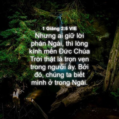 Picture 04 - 1 Giăng 2:5 VIE - Nhưng ai giữ lời phán Ngài, thì lòng - Bible Verse Picture