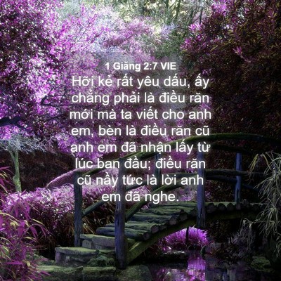 Picture 04 - 1 Giăng 2:7 VIE - Hỡi kẻ rất yêu dấu, ấy chẳng phải - Bible Verse Picture