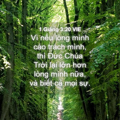 Picture 04 - 1 Giăng 3:20 VIE - Vì nếu lòng mình cáo trách mình, thì - Bible Verse Picture