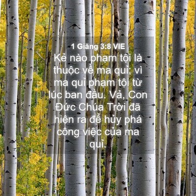Picture 04 - 1 Giăng 3:8 VIE - Kẻ nào phạm tội là thuộc về ma quỉ; - Bible Verse Picture