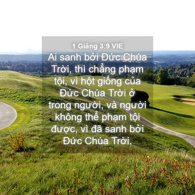 Picture 04 - 1 Giăng 3:9 VIE - Ai sanh bởi Đức Chúa Trời, thì chẳng - Bible Verse Picture