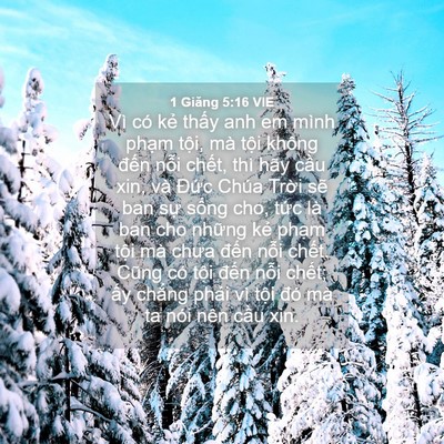 Picture 04 - 1 Giăng 5:16 VIE - Vì có kẻ thấy anh em mình phạm tội, - Bible Verse Picture