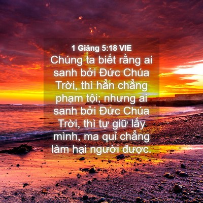 Picture 04 - 1 Giăng 5:18 VIE - Chúng ta biết rằng ai sanh bởi Đức - Bible Verse Picture