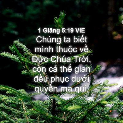 Picture 04 - 1 Giăng 5:19 VIE - Chúng ta biết mình thuộc về Đức Chúa - Bible Verse Picture
