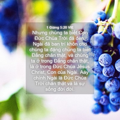 Picture 04 - 1 Giăng 5:20 VIE - Nhưng chúng ta biết Con Đức Chúa Trời - Bible Verse Picture