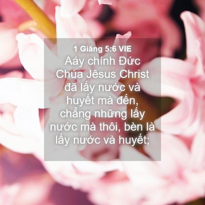 Picture 04 - 1 Giăng 5:6 VIE - Aáy chính Đức Chúa Jêsus Christ đã lấy - Bible Verse Picture