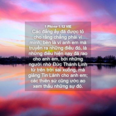 Picture 04 - 1 Phi-rơ 1:12 VIE - Các đấng ấy đã được tỏ cho rằng - Bible Verse Picture