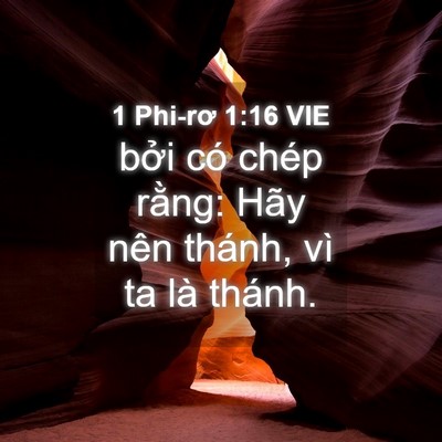 Picture 04 - 1 Phi-rơ 1:16 VIE - bởi có chép rằng: Hãy nên thánh, vì ta - Bible Verse Picture