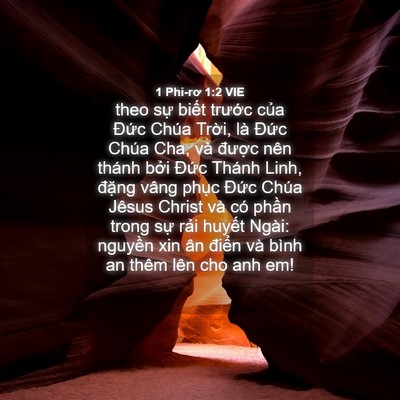 Picture 04 - 1 Phi-rơ 1:2 VIE - theo sự biết trước của Đức Chúa - Bible Verse Picture
