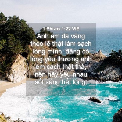 Picture 04 - 1 Phi-rơ 1:22 VIE - Anh em đã vâng theo lẽ thật làm sạch - Bible Verse Picture
