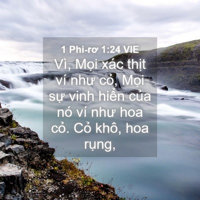 Picture 04 - 1 Phi-rơ 1:24 VIE - Vì, Mọi xác thịt ví như cỏ, Mọi sự - Bible Verse Picture