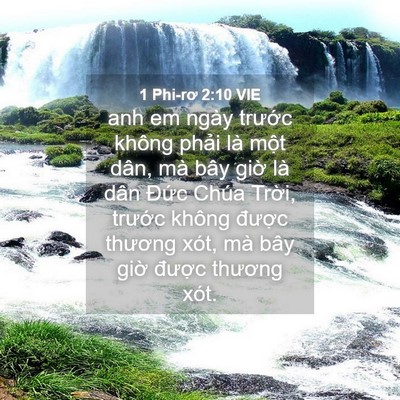 Picture 04 - 1 Phi-rơ 2:10 VIE - anh em ngày trước không phải là một - Bible Verse Picture