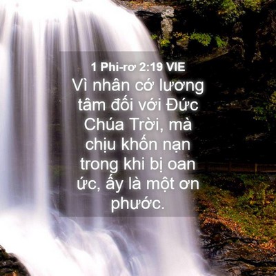 Picture 04 - 1 Phi-rơ 2:19 VIE - Vì nhân cớ lương tâm đối với Đức - Bible Verse Picture