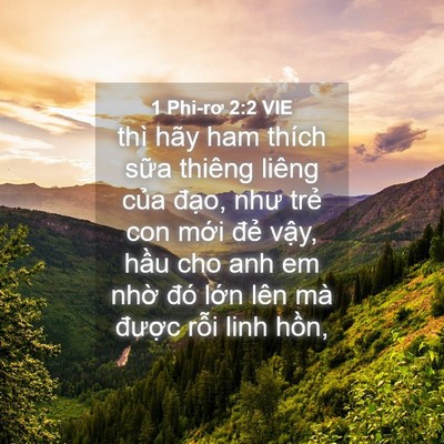 Picture 04 - 1 Phi-rơ 2:2 VIE - thì hãy ham thích sữa thiêng liêng của - Bible Verse Picture