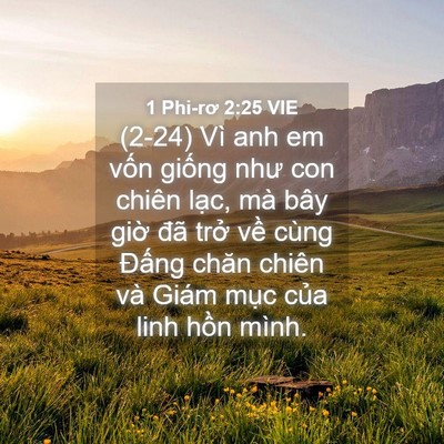 Picture 04 - 1 Phi-rơ 2:25 VIE - (2-24) Vì anh em vốn giống như con chiên - Bible Verse Picture