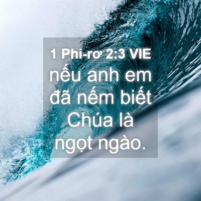 Picture 04 - 1 Phi-rơ 2:3 VIE - nếu anh em đã nếm biết Chúa là ngọt - Bible Verse Picture