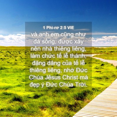 Picture 04 - 1 Phi-rơ 2:5 VIE - và anh em cũng như đá sống, được xây - Bible Verse Picture