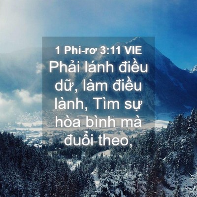 Picture 04 - 1 Phi-rơ 3:11 VIE - Phải lánh điều dữ, làm điều lành, - Bible Verse Picture