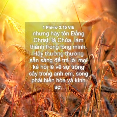 Picture 04 - 1 Phi-rơ 3:15 VIE - nhưng hãy tôn Đấng Christ, là Chúa, làm - Bible Verse Picture
