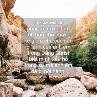Picture 04 - 1 Phi-rơ 3:16 VIE - phải có lương tâm tốt, hầu cho những - Bible Verse Picture