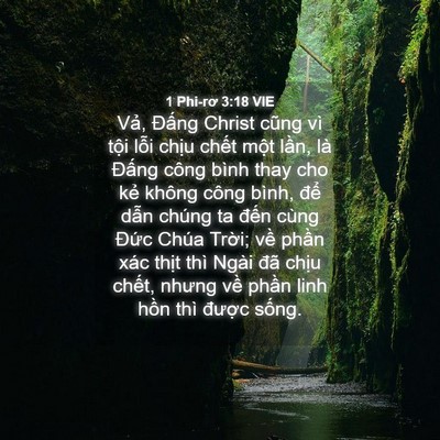 Picture 04 - 1 Phi-rơ 3:18 VIE - Vả, Đấng Christ cũng vì tội lỗi chịu - Bible Verse Picture
