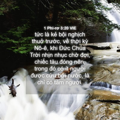 Picture 04 - 1 Phi-rơ 3:20 VIE - tức là kẻ bội nghịch thuở trước, - Bible Verse Picture