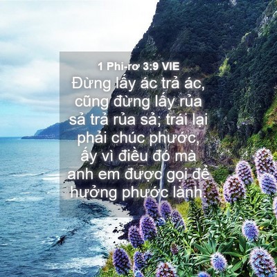Picture 04 - 1 Phi-rơ 3:9 VIE - Đừng lấy ác trả ác, cũng đừng lấy - Bible Verse Picture