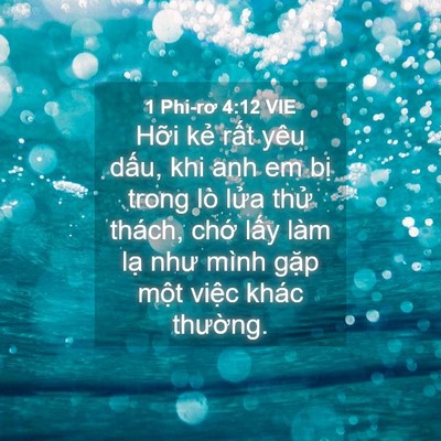 Picture 04 - 1 Phi-rơ 4:12 VIE - Hỡi kẻ rất yêu dấu, khi anh em bị - Bible Verse Picture