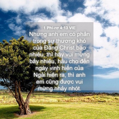 Picture 04 - 1 Phi-rơ 4:13 VIE - Nhưng anh em có phần trong sự thương khó - Bible Verse Picture