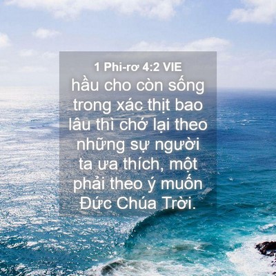 Picture 04 - 1 Phi-rơ 4:2 VIE - hầu cho còn sống trong xác thịt bao lâu - Bible Verse Picture