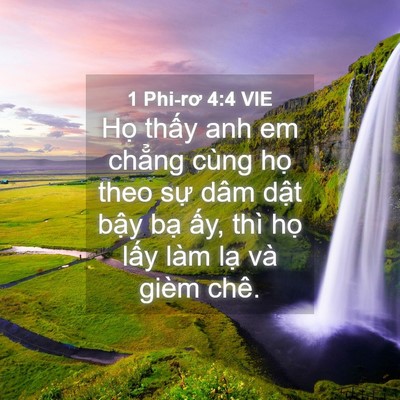 Picture 04 - 1 Phi-rơ 4:4 VIE - Họ thấy anh em chẳng cùng họ theo sự - Bible Verse Picture