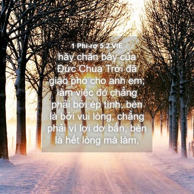 Picture 04 - 1 Phi-rơ 5:2 VIE - hãy chăn bầy của Đức Chúa Trời đã - Bible Verse Picture