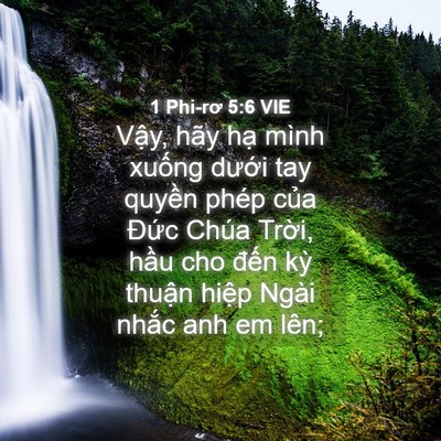 Picture 04 - 1 Phi-rơ 5:6 VIE - Vậy, hãy hạ mình xuống dưới tay - Bible Verse Picture
