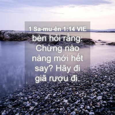 Picture 04 - 1 Sa-mu-ên 1:14 VIE - bèn hỏi rằng: Chừng nào nàng mới hết - Bible Verse Picture