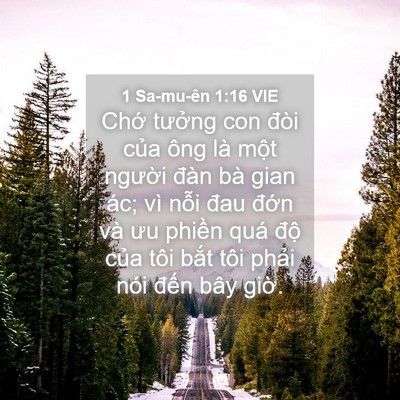 Picture 04 - 1 Sa-mu-ên 1:16 VIE - Chớ tưởng con đòi của ông là một - Bible Verse Picture
